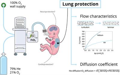 Neonatal Applications of Heliox: A Practical Review